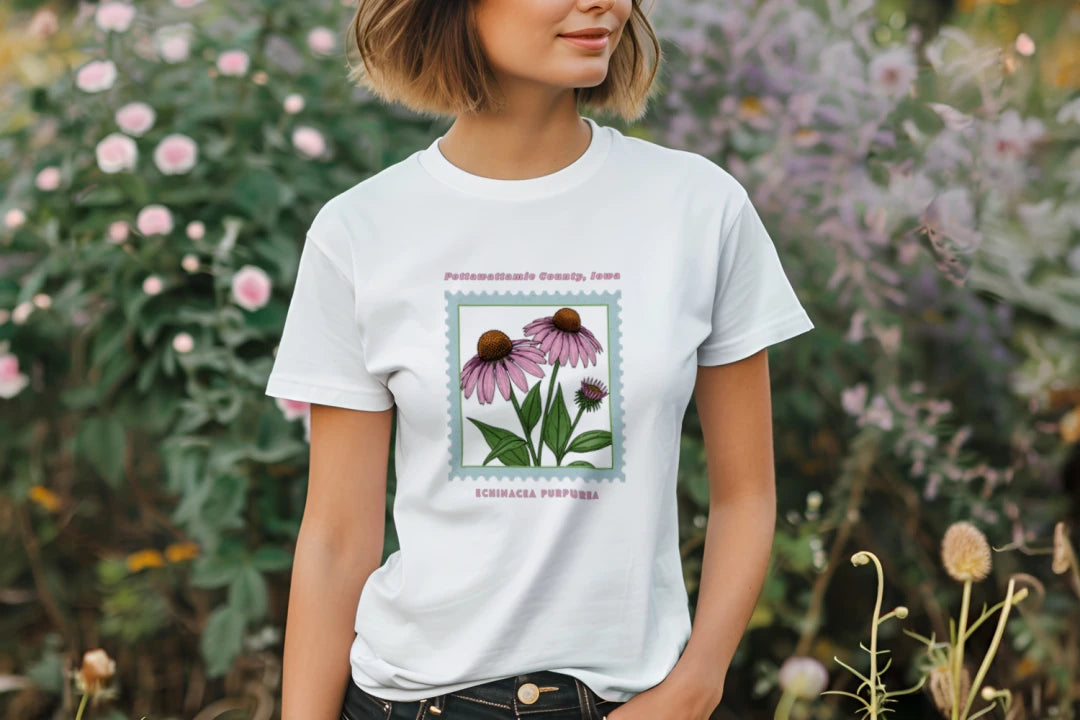 Coneflower