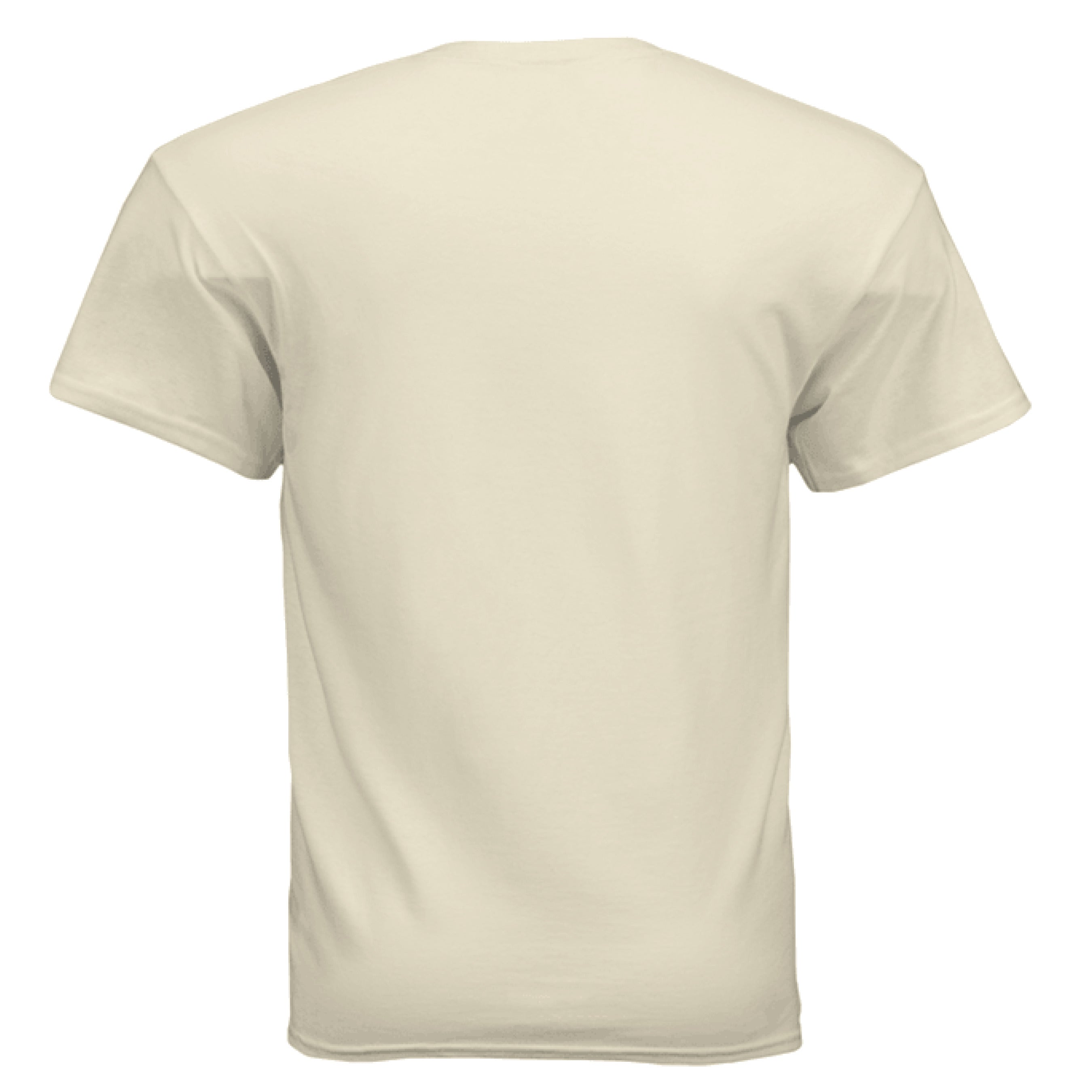Gildan G500 Adult T-Shirt