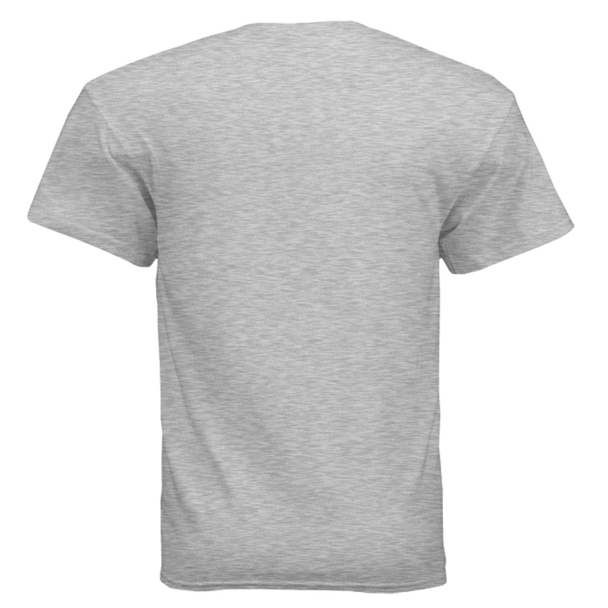 ASH - BACK Gildan G500 T-Shirt