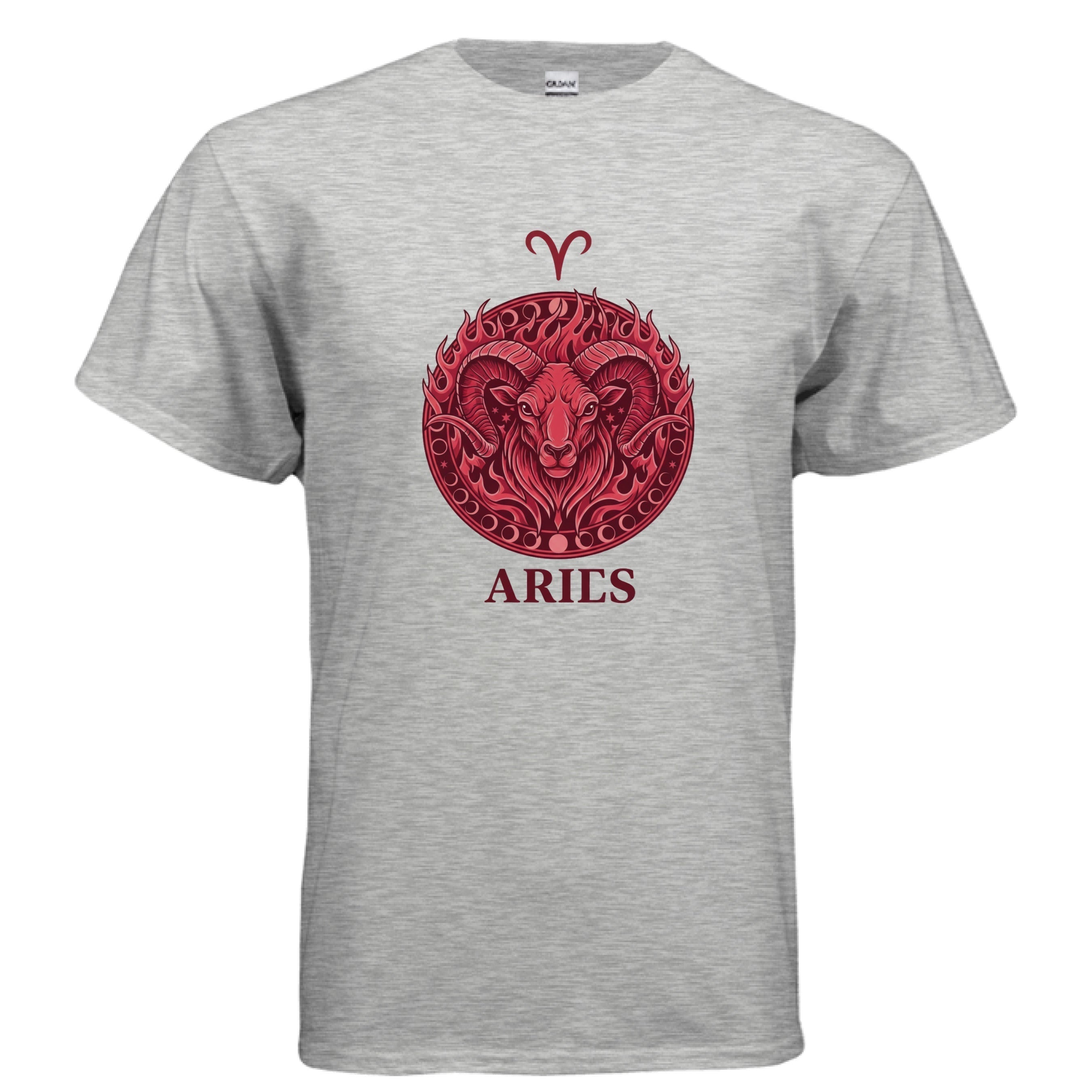 ASH - FRONT Gildan G500 Adult T-Shirt