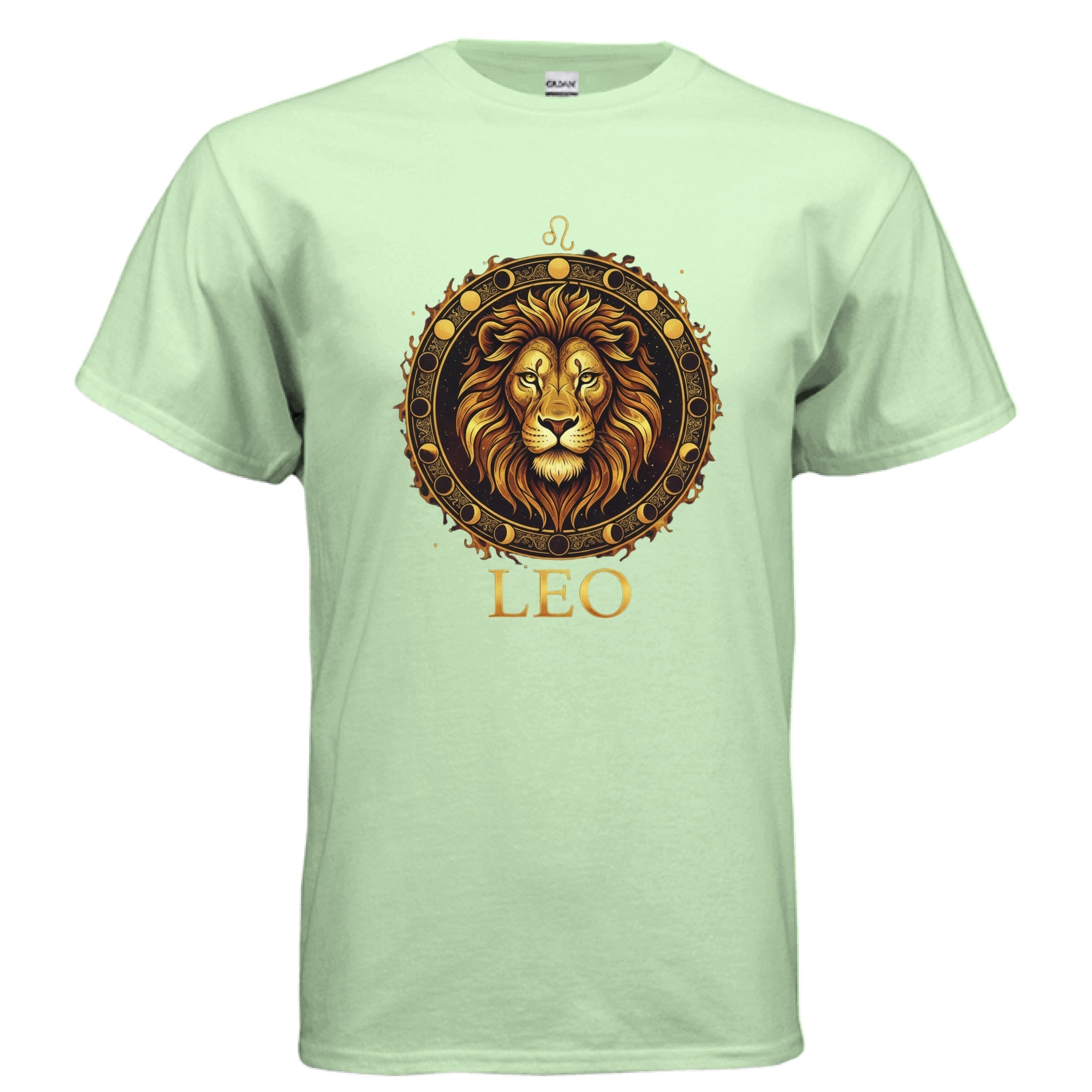 MINT GREEN - FRONT Gildan G500 Adult T-Shirt