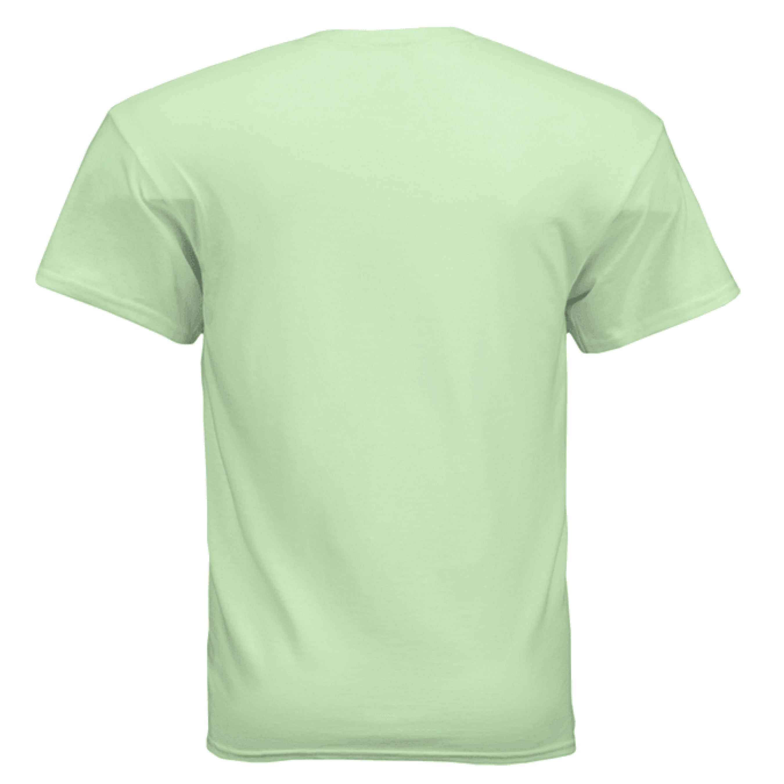 MINT GREEN - BACK Gildan G500 Adult T-Shirt