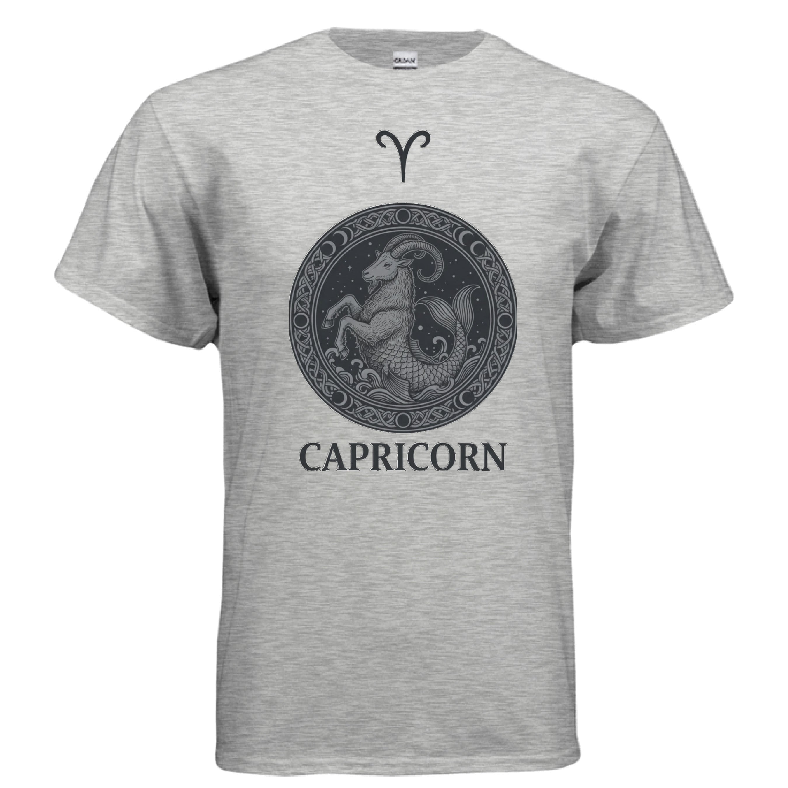 ASH - FRONT Gildan G500 Adult T-Shirt