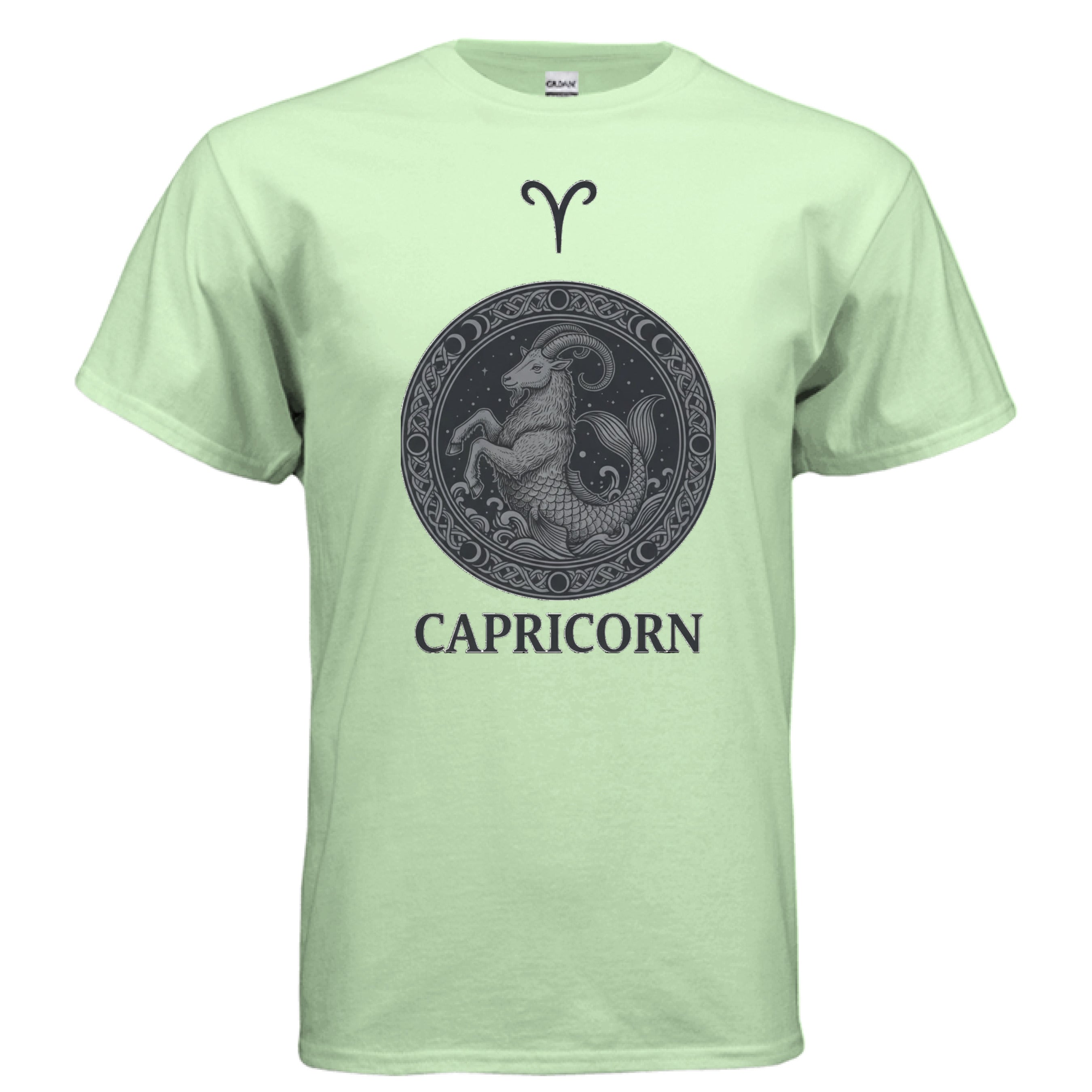 MINT GREEN - FRONT Gildan G500 Adult T-Shirt