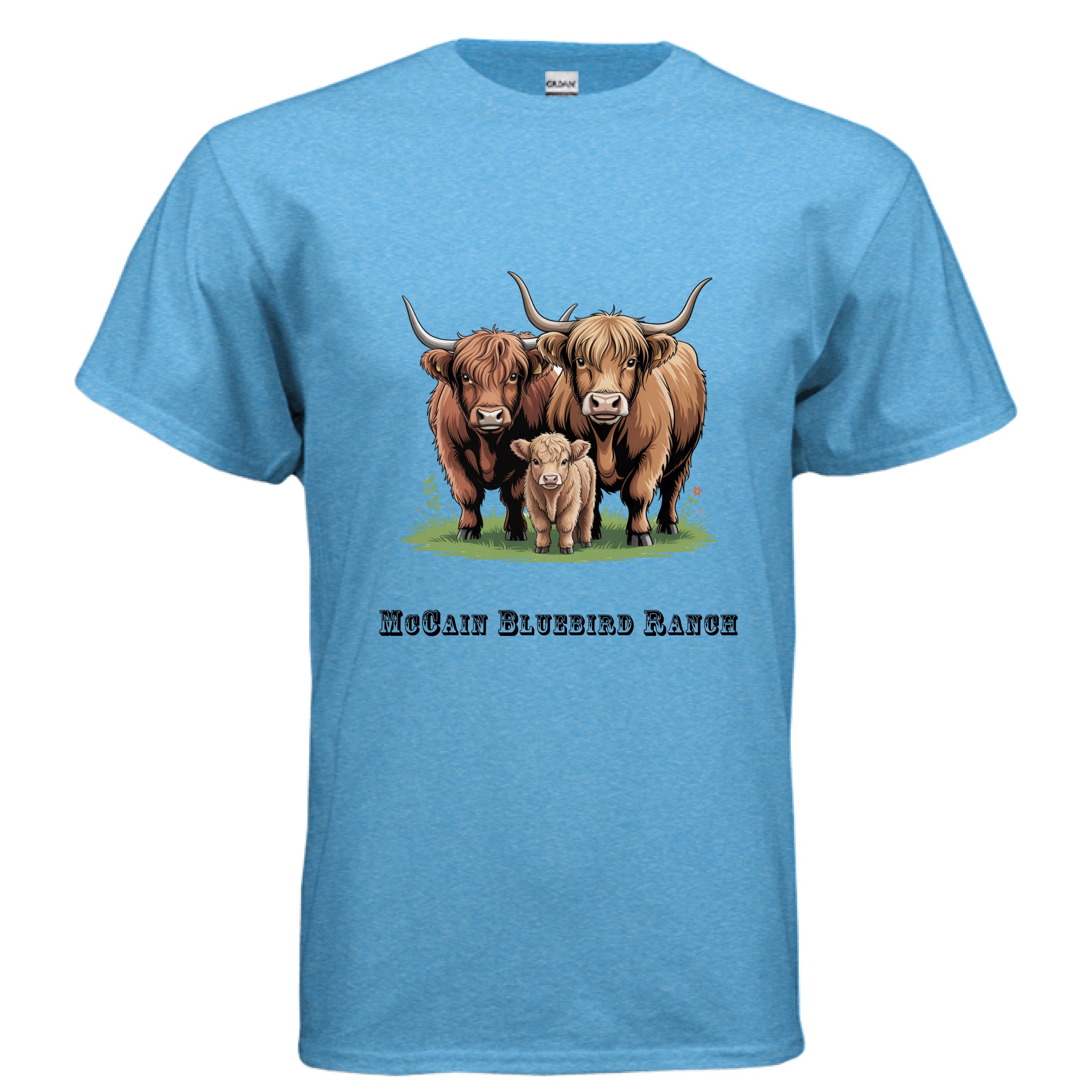 HEATHER SAPPHIRE - FRONT