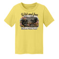 Yellow - CAR54T - FRONT